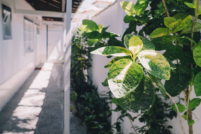 Spacious House in the Center of Búzios - 300m from Rua das P